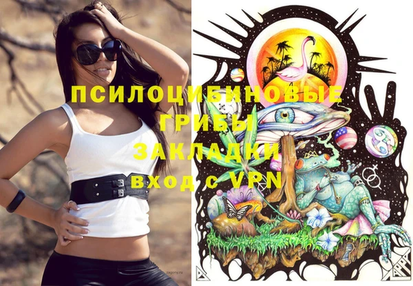 молекула духа Майский