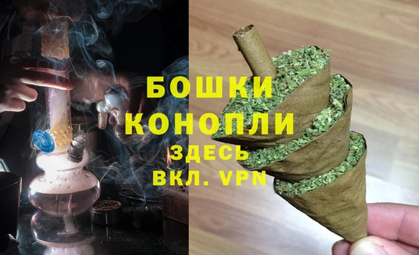 молекула духа Майский