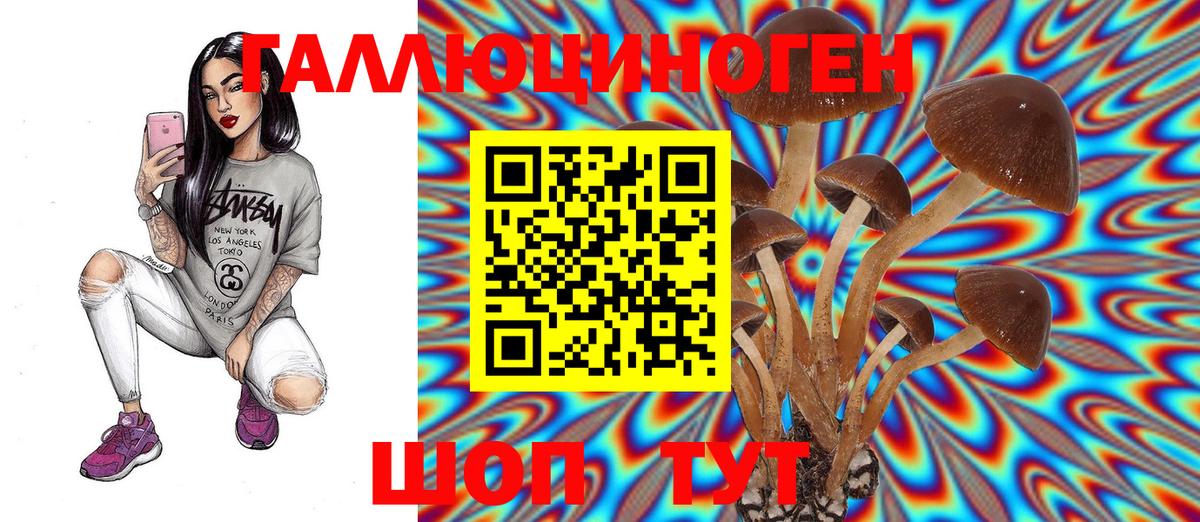 Галлюциногенные грибы прущие грибы  Касимов 