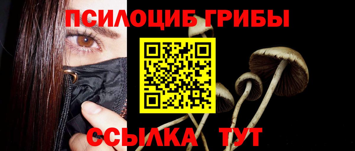Галлюциногенные грибы мицелий Касимов